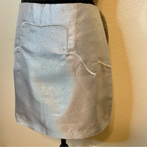 Silver Mini Skirt - Picture 9 of 14